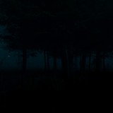 19c59547516968ff714428b1a641262b