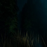 9740e0b24f6de1ee1e93fd37165a2e48