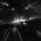 714fbb5801973998cf4ea88c6970ee0d