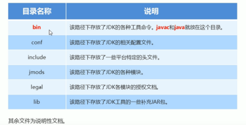 image-20220206091141872.png