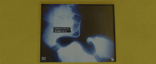 444.gif