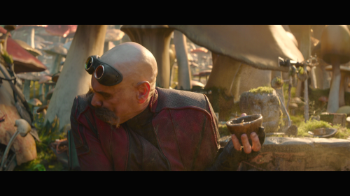 Sonic The Hedgehog 2 20220806 232136.178