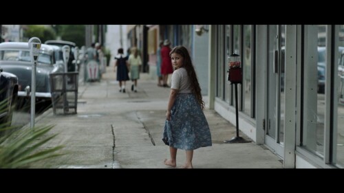 Where.the.Crawdads.Sing.2022.BluRay.Remux.1080p.AVC.DTS-HD.MA5.1-PTH.mkv_20220912_215809.374.jpg