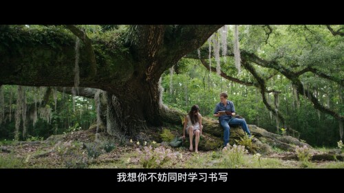 Where.the.Crawdads.Sing.2022.BluRay.Remux.1080p.AVC.DTS-HD.MA5.1-PTH.mkv_20220912_215849.747.jpg