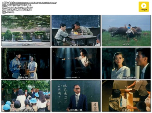 .Dull.Ice.Flower.1989.DVDRip.x264.AC3-DGB.mkv.jpg