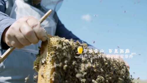 .2018.S01E1.2160p.WEB-DL.H265.AAC-PigoWeb.mkv_20230125_201124.261fee599123d9fee3b.jpeg