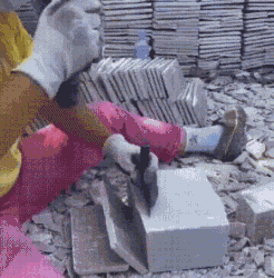 640008bfd66b0cc4ef3.gif