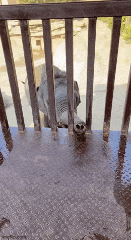 640cc3e216337142b58.gif