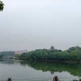 tree1e8b1fc86aeca3c28