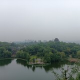 tree2806908af907da385