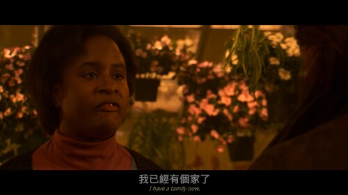 FLATLINERS---4K-UHD_20230725_131551.611fd0b5b128e844dd6.jpeg