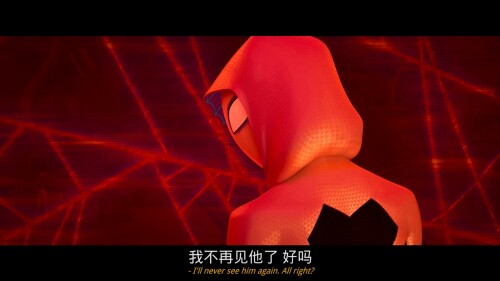 Spider-Man.Across.the.Spider-Verse.2023.BluRay.Remux.1080p.AVC.DTS-HD.MA5.1-PTH.mkv_20230906_210130.026b1b4d5133bb4eaac.jpeg