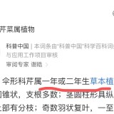 emoji-2a046537180cf0dec