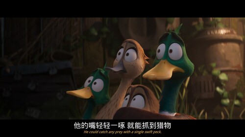 Migration_20240224_213135.866b89472bc99bec558.jpeg