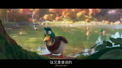 Migration_20240224_213145.46737d287d94beb032a.jpeg