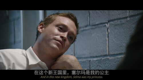 DogMan.2023.COMPLETE.UHD.BLURAY-SURCODE_20240301_085322.62095dd8d63ff8b56dd.jpeg