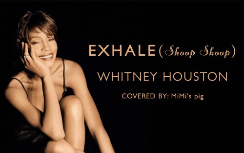 Whitney-Houstondf9abafc6e32629a.jpeg
