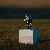 ScreenShot2eb37449968c122bb