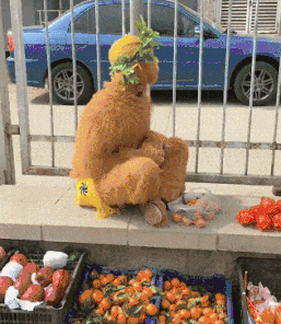 6404e17cf631770092c.gif