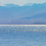 e92af5e1gy1hq4ai2xi4jj225d2v6e868a909b0eeb56d084