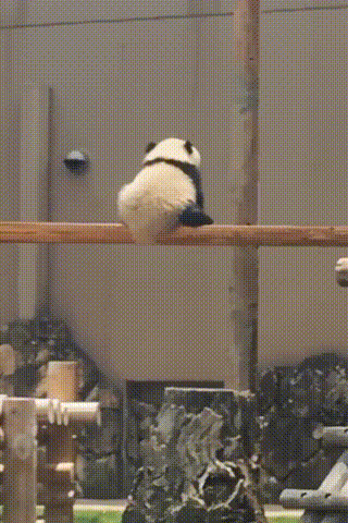640126d406ffdf3de44.gif