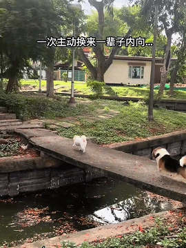 64057fc2d8cb2de9001.gif