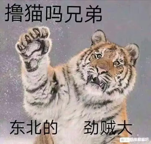 image674cc5800e142a85.png