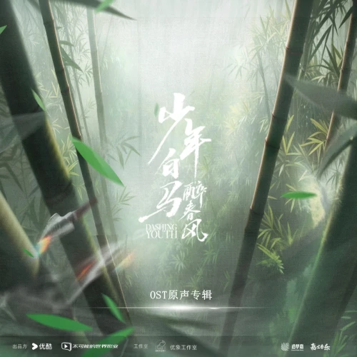 -OST9dd075c948c03687.webp