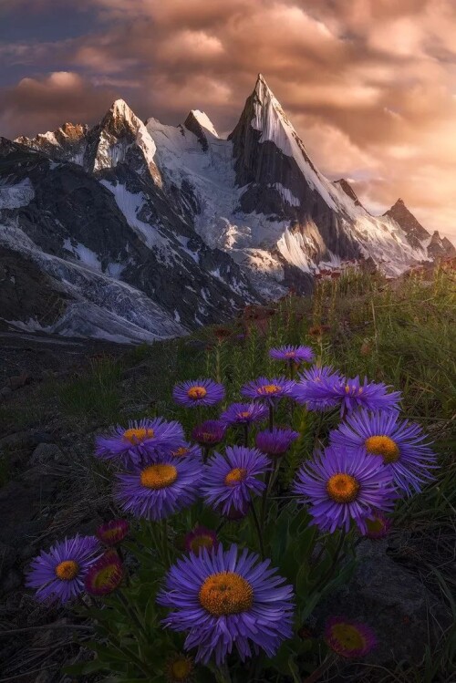 1617667761 c5d9c6b00366fa2