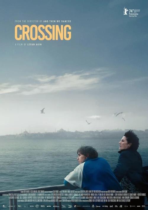 -Crossingd32ba7024e1db480.webp