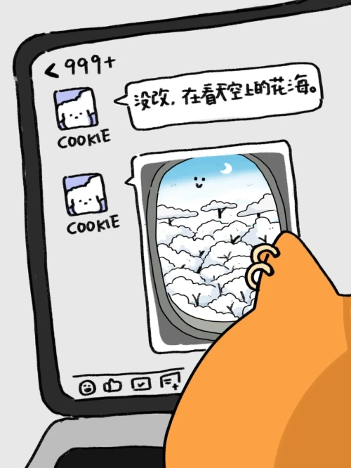 20893d339ce3e04747.webp
