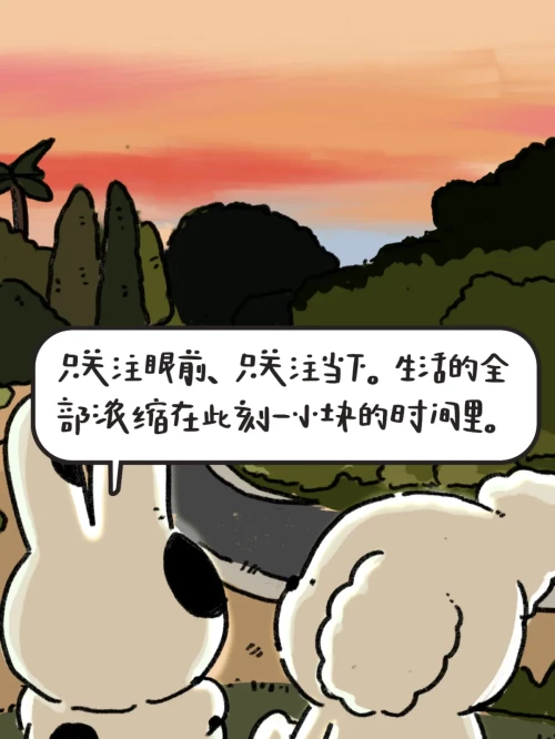 23b8551bea05f0aaf0.webp