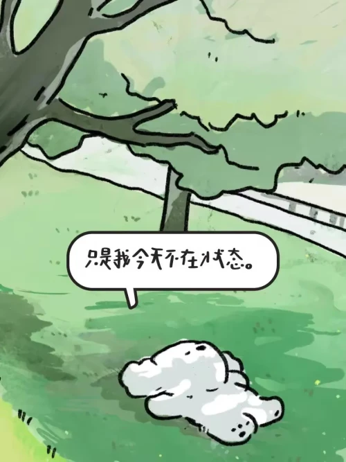 303564d4498e925dbd.webp
