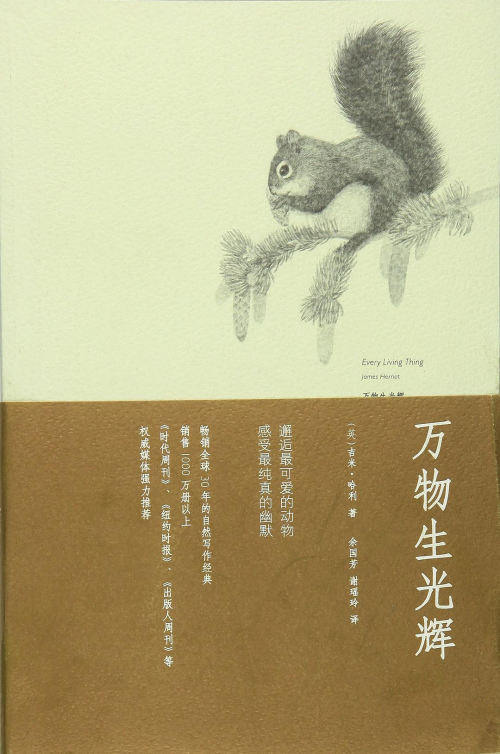 image8b7df7065c5470ac.png