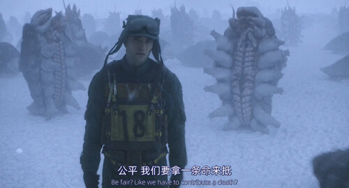 bh17-3c21f88cfda05e868.jpg