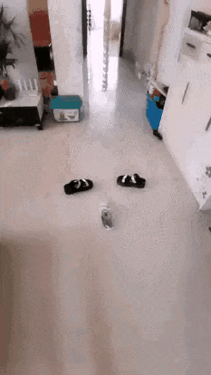 640-18ecb85a72e628aa07.gif