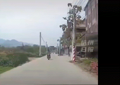 6407883fe4e4baea90e.gif