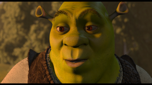 ScreenShots1342c8981f0e2c14d.png