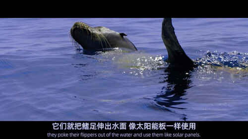 hsla2f5e841344eebe89d.jpg