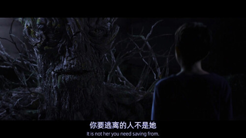 dgwl1726415d3877a82fc.jpg