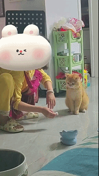 640-10bb0a7bb81cace652.gif