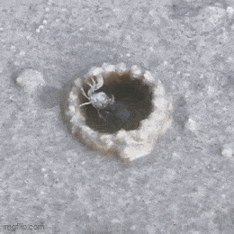 640-12420a6cb96a35d701.gif