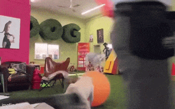 640-1fe34272c2405f346.gif