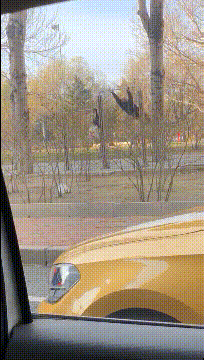 640-22b20d1fe74e434a6a.gif