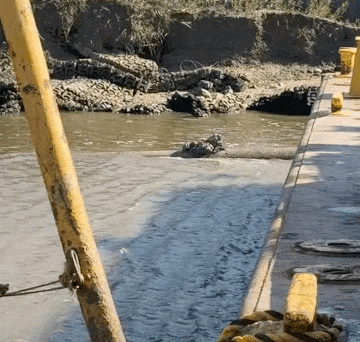 640-9a1492ba5504f1d05.gif