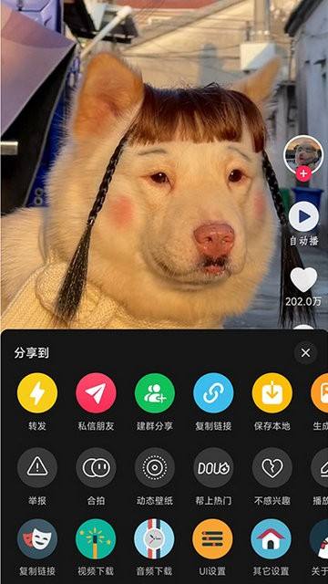1749777473166_9TZNpEkV6o5c33cf1b63e38678.jpeg