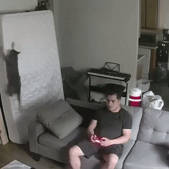 640-104779e8d9b58ac427.gif