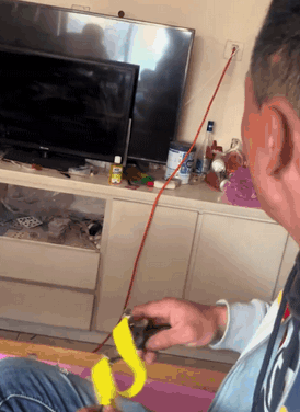 640-1781c173732006dfae.gif