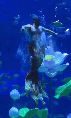 640-664894ca76e133376.gif