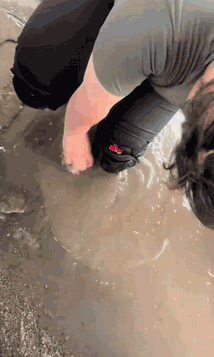 640-185b3273014f9c8b45.gif